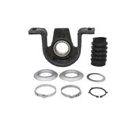 Supporto, cuscinetto intermedio, albero cardanico DANA SPICER X-10012-00-DANA