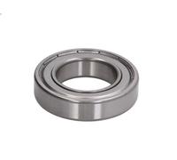 Supporto/Cuscinetto NKE 6007-2Z-C3