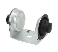 Supporto cuscinetto, Sospensione motore REINHOCH RH11-2042 per XSARA 2 2000-2005