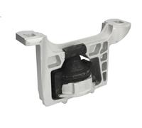 Supporto cuscinetto, Sospensione motore REINHOCH RH11-4020 per C30 1.6 2006-2012