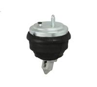 Supporto cuscinetto, Sospensione motore SASIC 9002515 per BMW 5 (E39) 3 1998-2