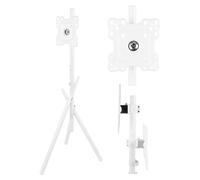 Maclean Supporto da pavimento per TV da 27-55 pollici, supporto autoportante, VESA 100 x 100 - 200 x 200, orientabile ± 45°, portata 60 kg, guida cavi (bianco)