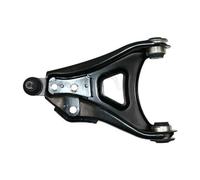 Supporto Del Freno In Acciaio Con Cuscinetto A.B.S. Per U.A. RENAULT CLIO