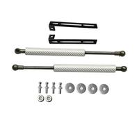 supporto dell'ascensore automobilistico, For Asta di supporto del cofano Per Citroën DS3(Silver carbon fiber)