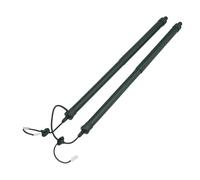 Supporto Di Sollevamento Per Portellone Posteriore Sinistro Destro Per Nissan Per Kizashi Per Rogue Per X-Trail 2014-2020 905614CL3A(2pcs)