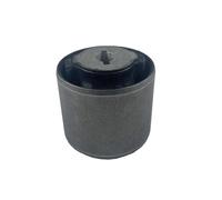 Supporto Differenziale Anteriore Assale Posteriore Per Dodge Per Durrango 3.6L 5.7L 2011-2016 68091398AA boccola di sospensione