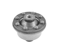 Supporto, Differenziale Assale posteriore per AUDI 100 A6 V8