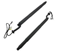 Supporto elettrico per portellone posteriore 51247318651 51247318652 2 Pezzi Coppia Di Azionamento A Mandrino Posteriore/molla A Gas Per Portellone Posteriore Automatico Per BMW X6 F16