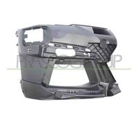 PRASCO BM0551303 Supporto, Fendinebbia