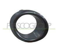 PRASCO DS3501241 Cornice, Fendinebbia