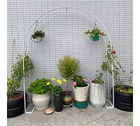 Supporto for rampicanti ad arco in metallo for rose, resistente alle intemperie, pergolato da giardino, for piante rampicanti su terrazza da giardino(White,W120xH220cm)