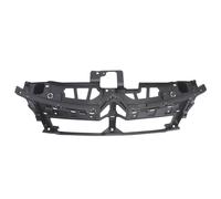Supporto, griglia del radiatore BLIC 6502-07-0538996P