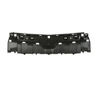 Supporto, griglia del radiatore BLIC 6502-07-2009991P