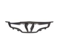Supporto, griglia del radiatore BLIC 6502-07-6034994P