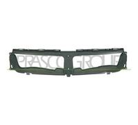 PRASCO SZ0562305 Telaio, Griglia radiatore