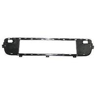 SUPPORTO GRIGLIA PARAURTI ANT INF BMW X5 E70 2007