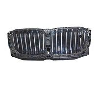Supporto Griglia Per Bmw X5 G05 2018 In Poi X-Line Visione Notturna