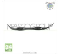 Supporto griglia radiatore Prasco Sx Sinistro per BMW X5 E70 xDrive 4.8 3.0