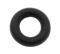 FA1 Anello di ritegno silenziatore 003-931