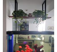 Supporto industriale da soffitto per cucina, bar, mensola sospesa per pentole e padelle con supporti per piante e fiori, decorazione per la casa, 120 x 30 x 50 cm