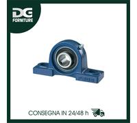 SUPPORTO MONOBLOCCO CON CUSCINETTO - UCP