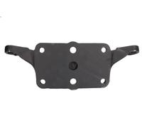 Supporto, montaggio del braccio di controllo S-TR per AXOR 6.374 2002-2004