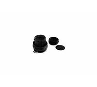 KRAFT AUTOMOTIVE Sospensione, Motore per SEAT VW 1490317