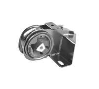 Supporto motore TEDGUM 00133693