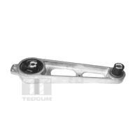 Supporto motore anteriore Cuscinetto gomma-metallo TED19070 TEDGUM per DODGE