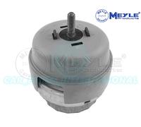Supporto Motore Anteriore Destro Meyle 100 199 0176