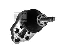 Supporto motore anteriore Dx Supporto idraulico 00226305 TEDGUM per FORD FOCUS I