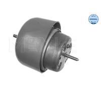 Supporto motore anteriore Dx Supporto idraulico 100 199 0048 MEYLE per AUDI VW