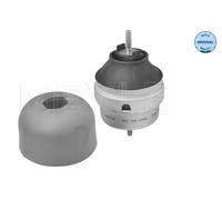 MEYLE Supporto motore 100 199 0058 anteriore dx idraulico per Audi VW Skoda