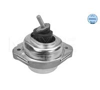 Supporto motore MEYLE 300 221 1131