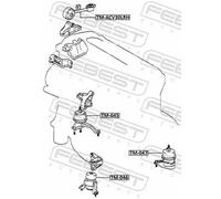 Supporto motore anteriore Dx Supporto idraulico TM-045 FEBEST per TOYOTA