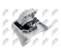 Supporto motore anteriore Dx ZPS-FR-051 NTY per FORD KUGA II FOCUS III Turnier