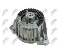 Supporto motore anteriore Dx ZPS-ME-017 NTY per MERCEDES-BENZ CLASSE C