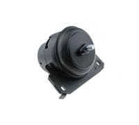 Supporto Motore Anteriore Per Land Cruiser 120 02-09, Hilux/4-Runner 02-09