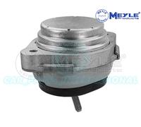 Supporto Motore Anteriore Sinistro O Destro Meyle 300 221 1120