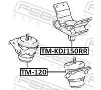 Supporto motore anteriore Supporto idraulico TM-120 FEBEST per TOYOTA
