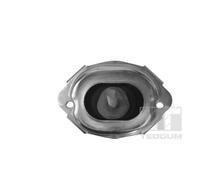 TEDGUM 00088547 Supporto motore