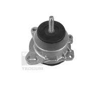 TEDGUM Sospensione, Motore per FORD 00228940