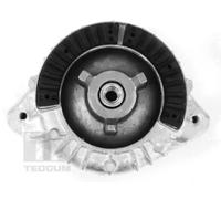 Supporto motore anteriore Sx Supporto idraulico 00418473 TEDGUM