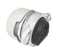 ESEN SKV Supporto motore 75SKV297 Anteriore sinistro per Mercedes-Benz E-Class