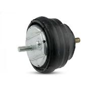 NTY Sospensione, Motore compatibile con BMW ZPS-BM-002