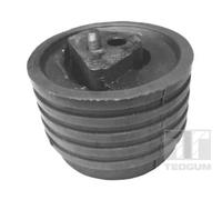 Supporto motore bilaterale 00614322 TEDGUM per SAAB 9-3