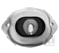 TEDGUM 00088396 Supporto motore
