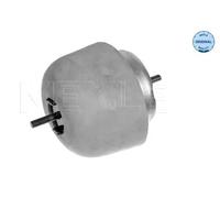 Supporto motore bilaterale Supporto idraulico 100 199 0056 MEYLE per AUDI VW