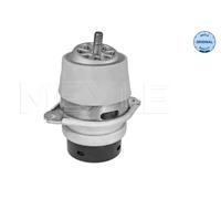 Supporto motore bilaterale Supporto idraulico 100 199 0215 MEYLE per PORSCHE VW