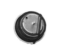 Supporto motore bilaterale Supporto idraulico TED46098 TEDGUM per MERCEDES-BENZ